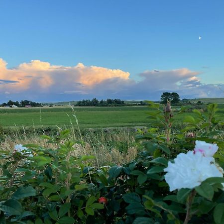 Вилла Aengahuset Glemminge Экстерьер фото